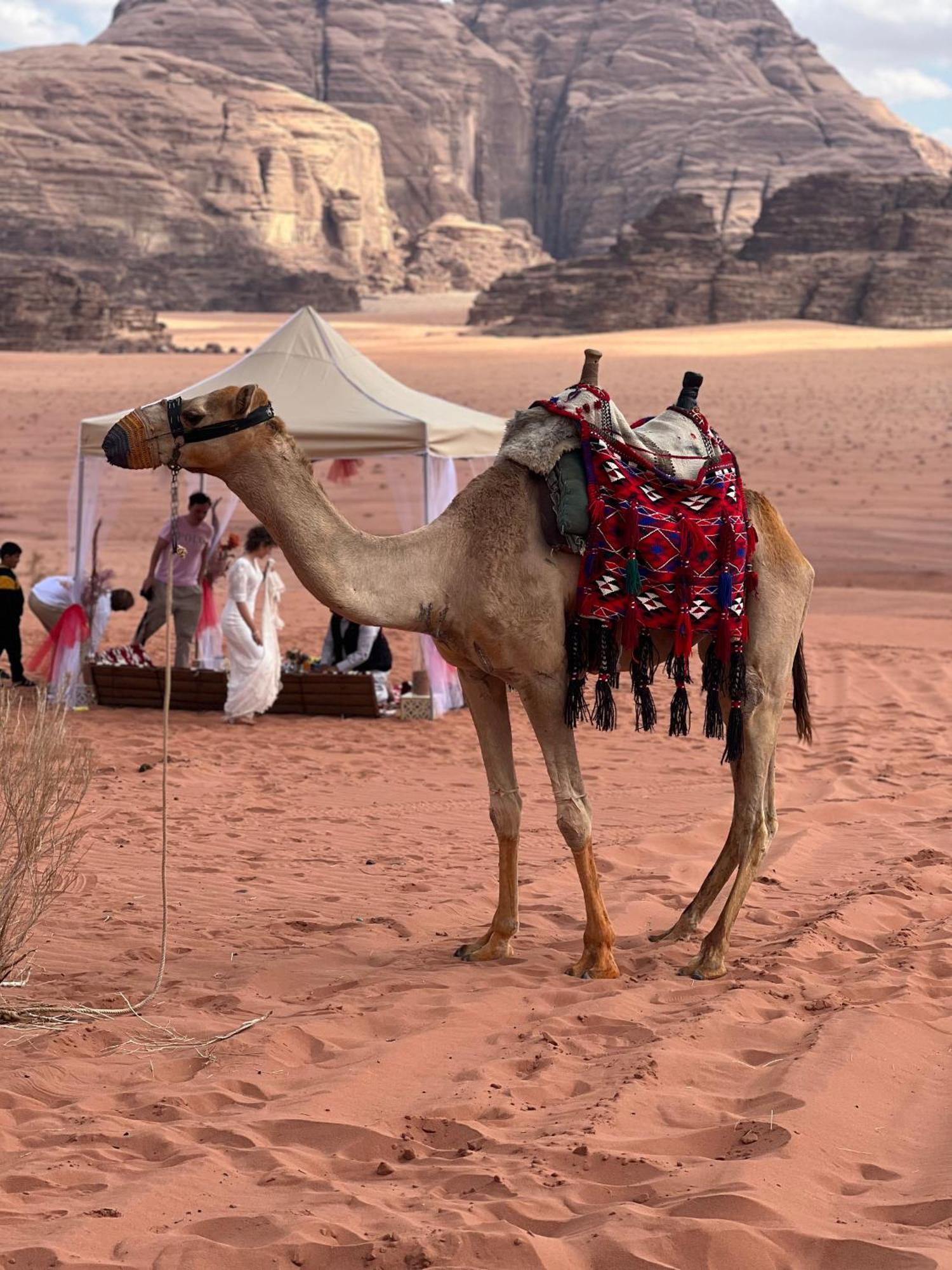 Apartament Moon Magic Valley Wadi Rum Zewnętrze zdjęcie