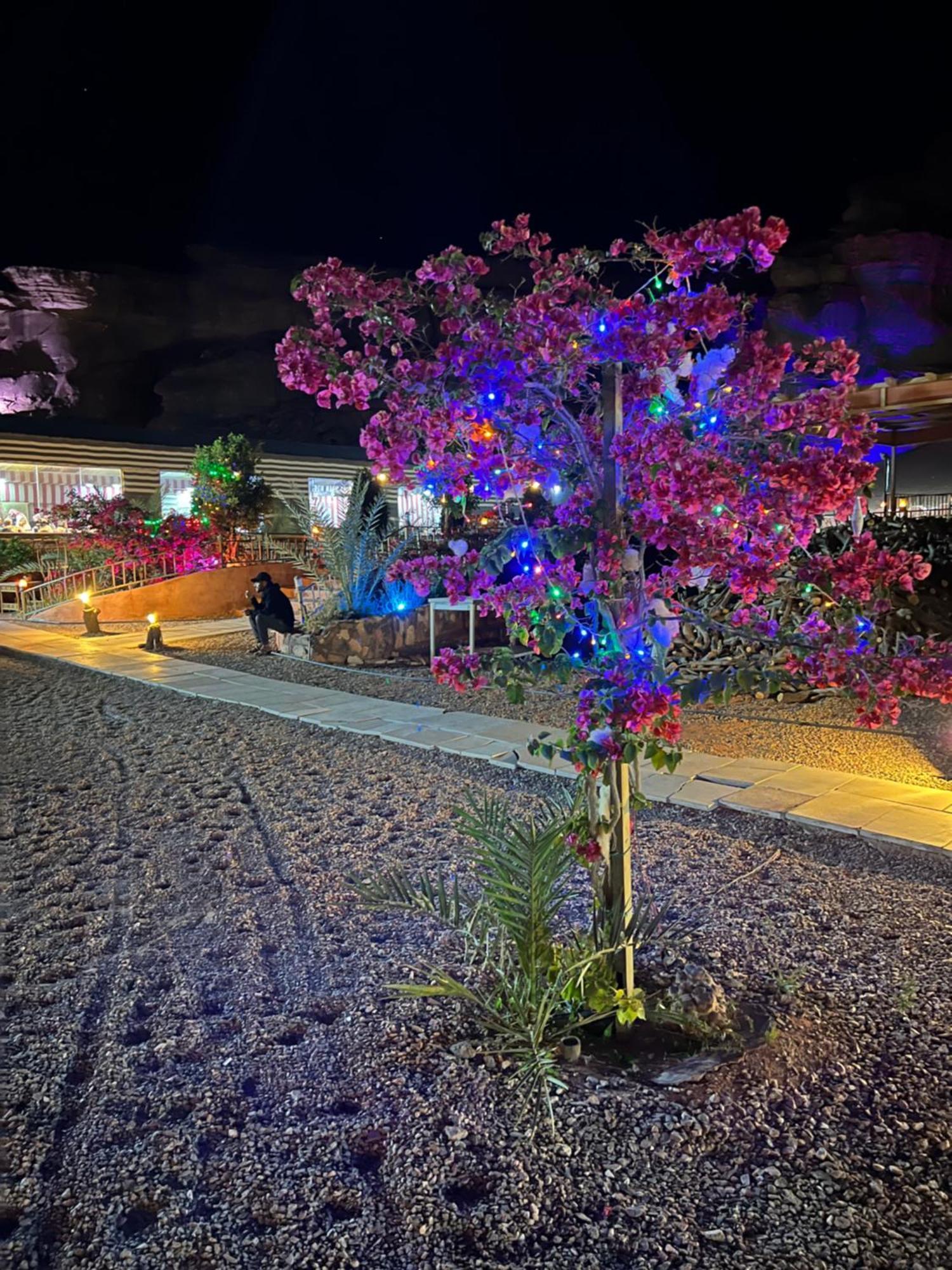 Apartament Moon Magic Valley Wadi Rum Zewnętrze zdjęcie
