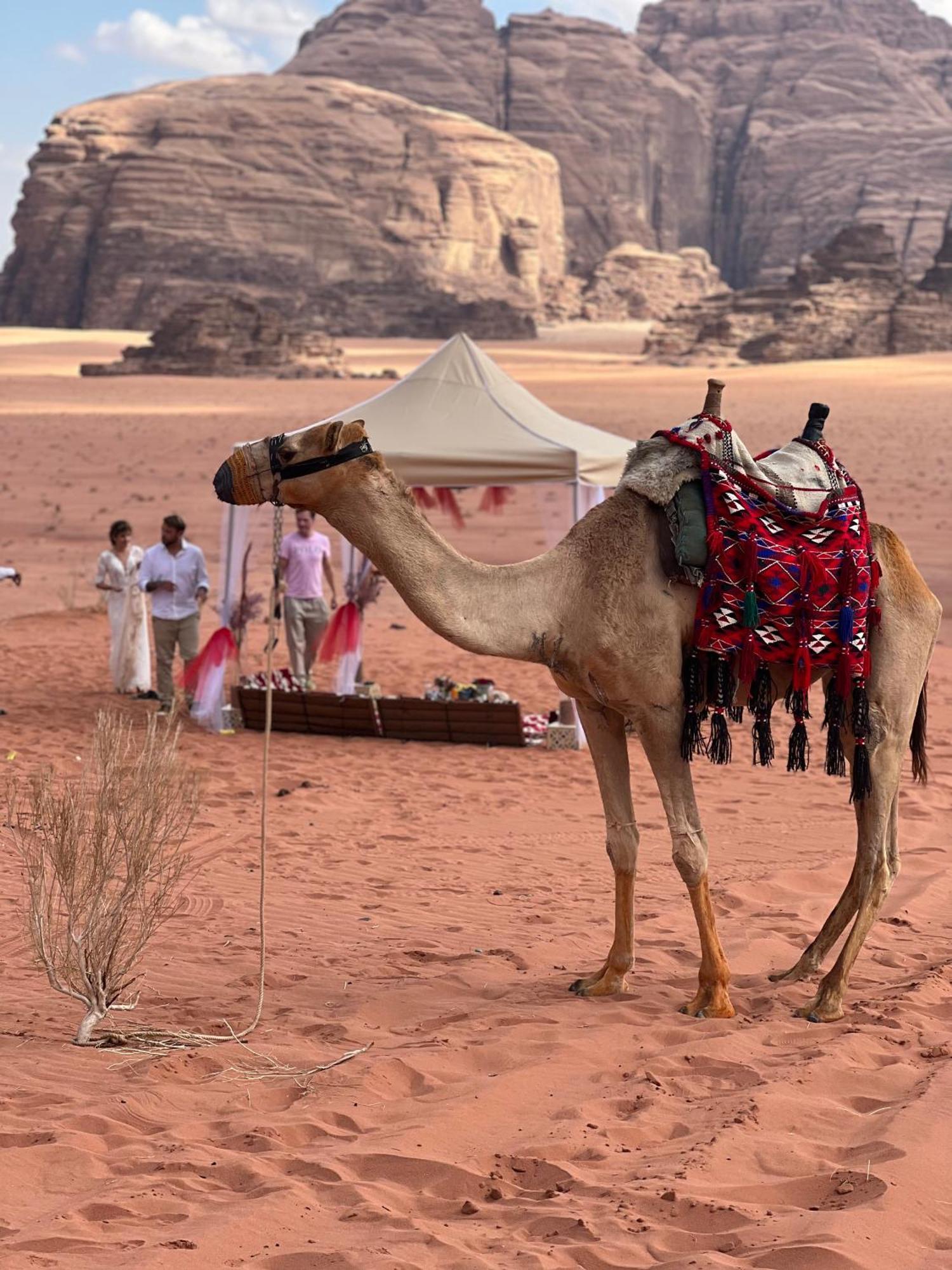 Apartament Moon Magic Valley Wadi Rum Zewnętrze zdjęcie